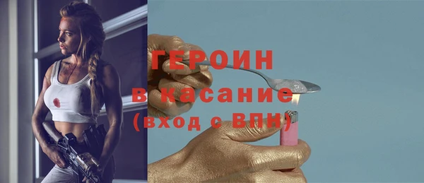 сатива Сатка