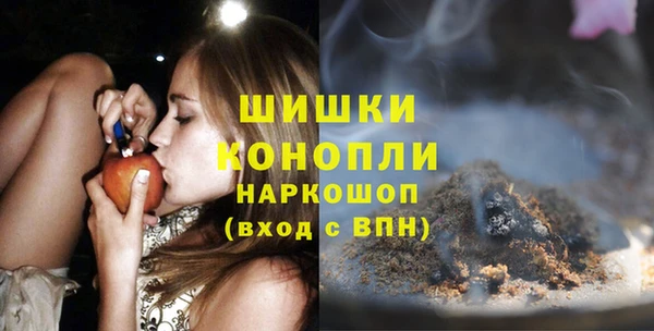 тгк Володарск