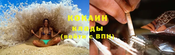 тгк Володарск